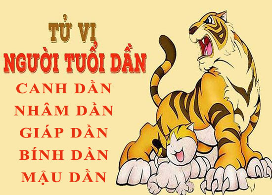 tu-vi-tron-doi-tuoi-dan-1