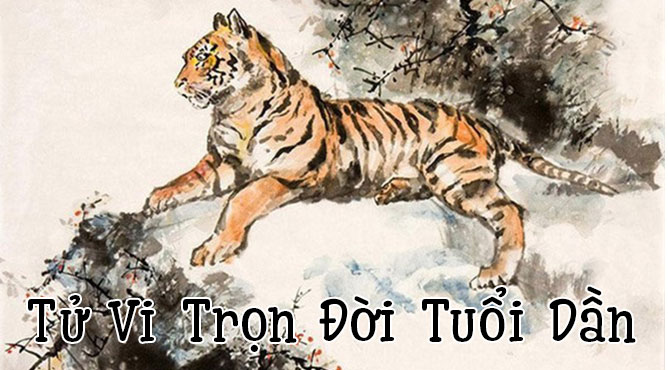 tu-vi-tron-doi-tuoi-dan