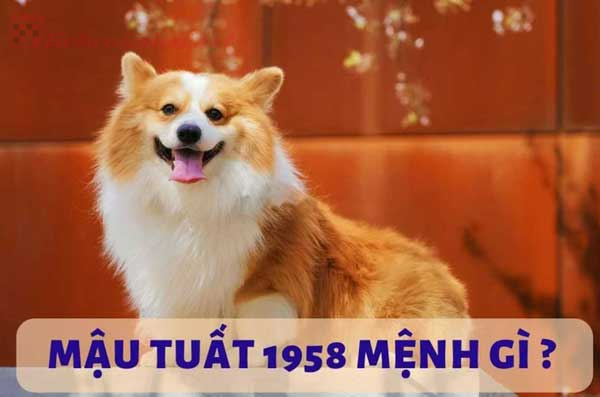 Sinh năm 1958 Mậu Tuất mệnh gì? Hợp tuổi gì? Hợp hướng nào?