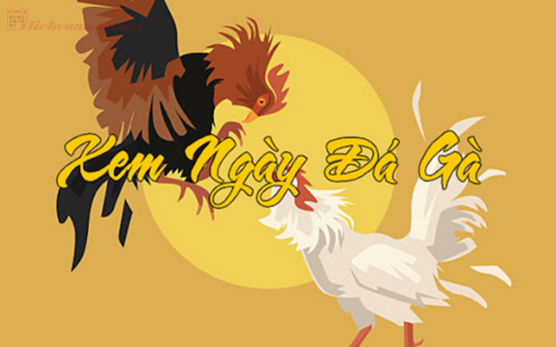 Xem Ngày Đá Gà