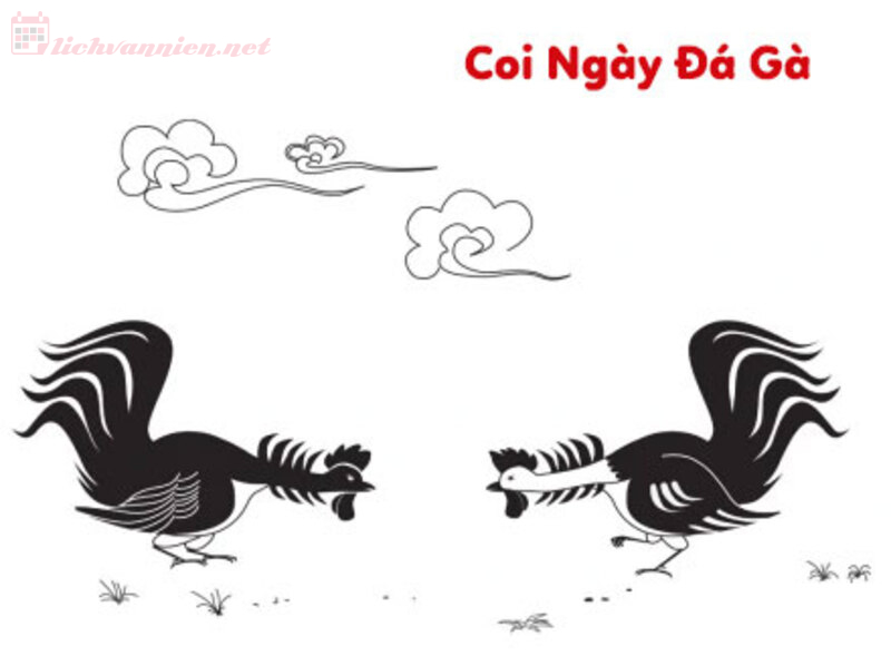Xem Ngày Đá Gà