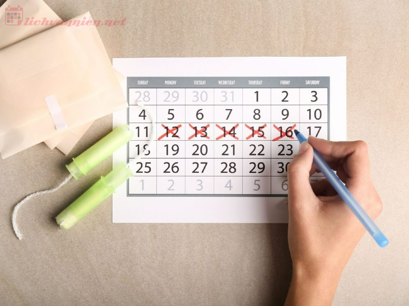 Xem Ng&agrave;y Tốt Đi Xăm M&ocirc;i