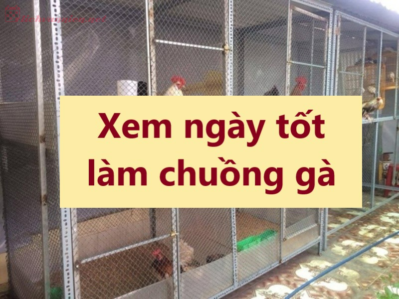 Xem Ng&agrave;y Tốt L&agrave;m Chuồng G&agrave;: Mở Đầu Thuận Lợi Cho Việc Chăn Nu&ocirc;i