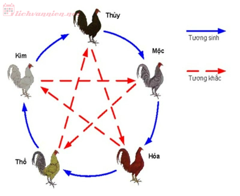 Xem Ngày Tốt Nuôi Gà