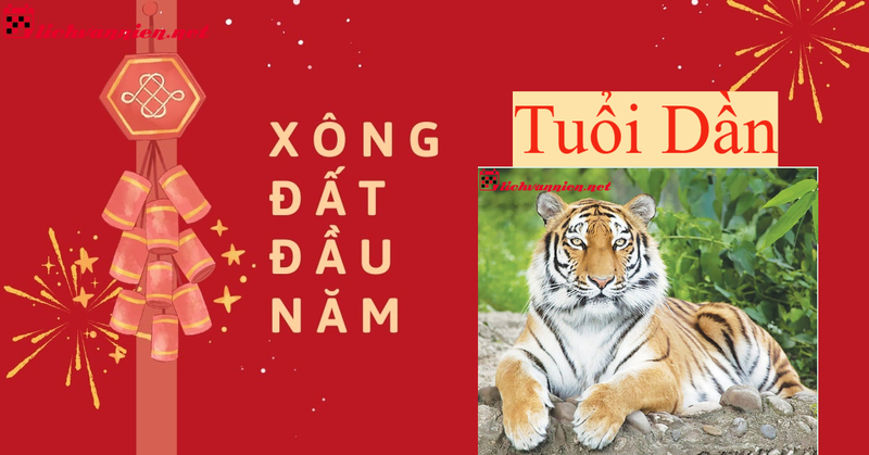 X&ocirc;ng Đất Gia Chủ Tuổi Dần: B&iacute; Quyết Đ&oacute;n May Mắn V&agrave; Thịnh Vượng Cho Năm Mới