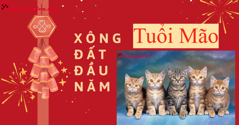 X&ocirc;ng Đất Gia Chủ Tuổi Mẹo - B&iacute; Quyết Đ&oacute;n May Mắn Trọn Vẹn Đầu Năm