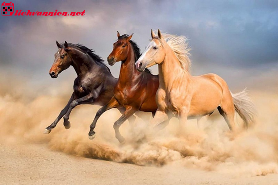 Xông Đất Gia Chủ Tuổi Ngọ - Hướng Dẫn Chọn Tuổi Hợp Và Giờ Tốt Đón Lộc Năm Mới