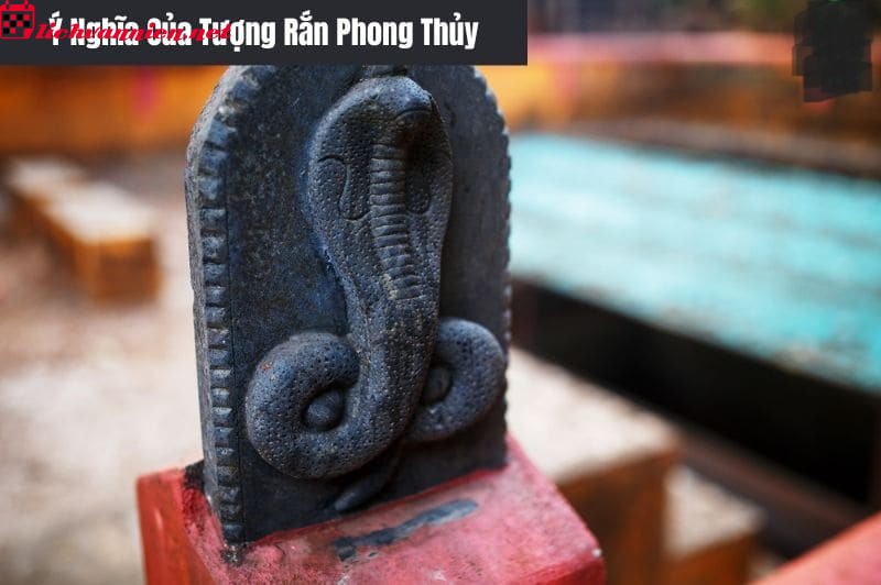 Biểu Tượng Rắn Trong Phong Thủy - &Yacute; Nghĩa V&agrave; C&aacute;ch B&agrave;i Tr&iacute; Hợp Phong Thủy